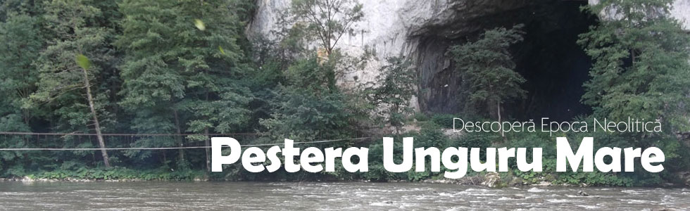 Pestera Unguru Mare