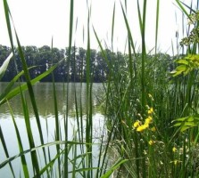 Lacul Valea Rosie